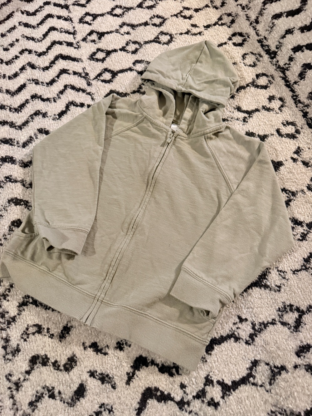 Modern Moments Beige/Lt Green Toddler Zip Hoodie - 4T
